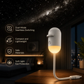 Night Projector